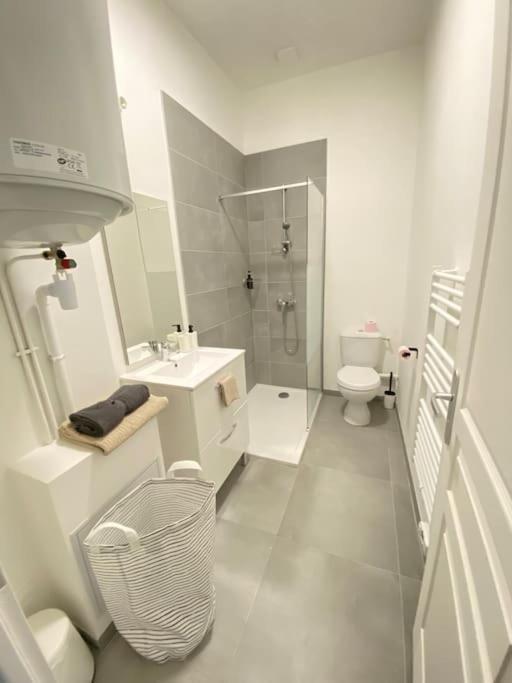 Appartement Coup De Coeur En Centre-Ville Orléans Buitenkant foto